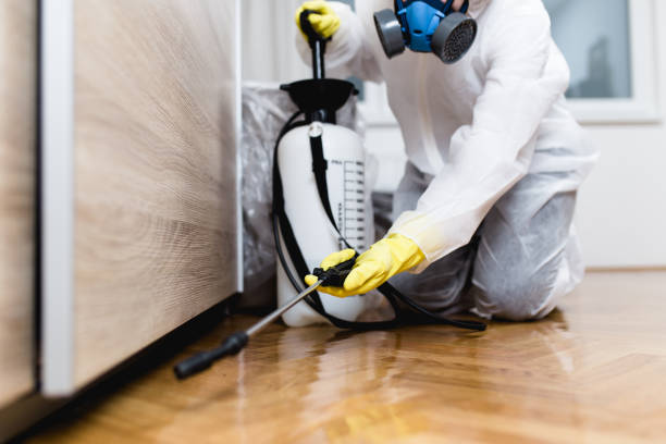 Best Best Pest Control Companies  in Waverly, MI