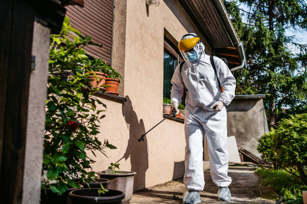 Best Pest Control for Businesses  in Waverly, MI