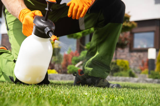 Best Rodent Control Near Me  in Waverly, MI