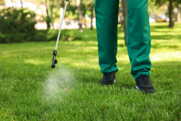 Best Pest Removal Services  in Waverly, MI