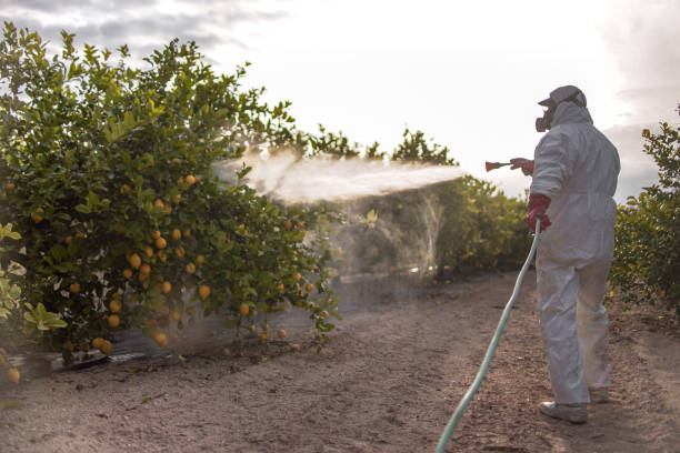 Best Local Pest Control Services  in Waverly, MI