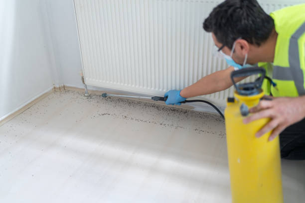 Best Bed Bug Extermination  in Waverly, MI