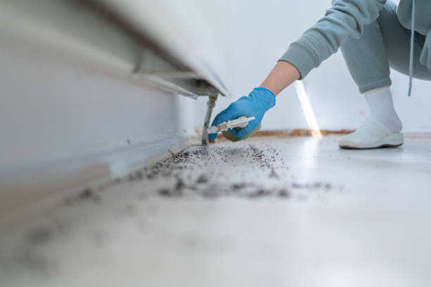  Waverly, MI Pest Control Pros