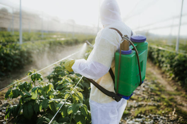 Best Best Pest Control Companies  in Waverly, MI